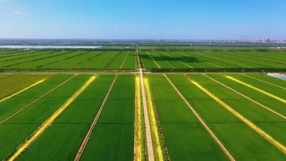 微信图片_20230808100743.jpg 微信图片_20230808100743.jpg