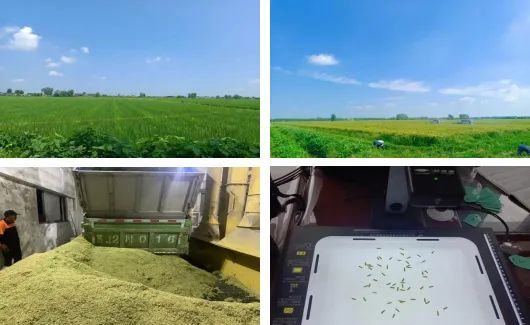 微信图片_20231013095343.jpg 微信图片_20231013095343.jpg