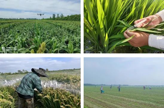 微信图片_20231013095319.jpg 微信图片_20231013095319.jpg