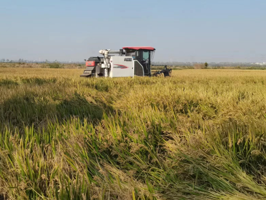 67afa2ced6501ec78468208007d675b5.png 67afa2ced6501ec78468208007d675b5.png