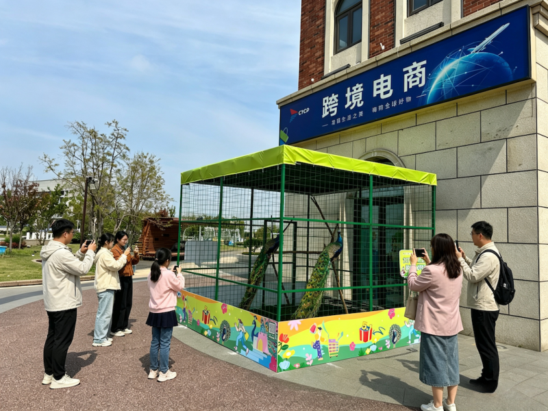 图片34.png
